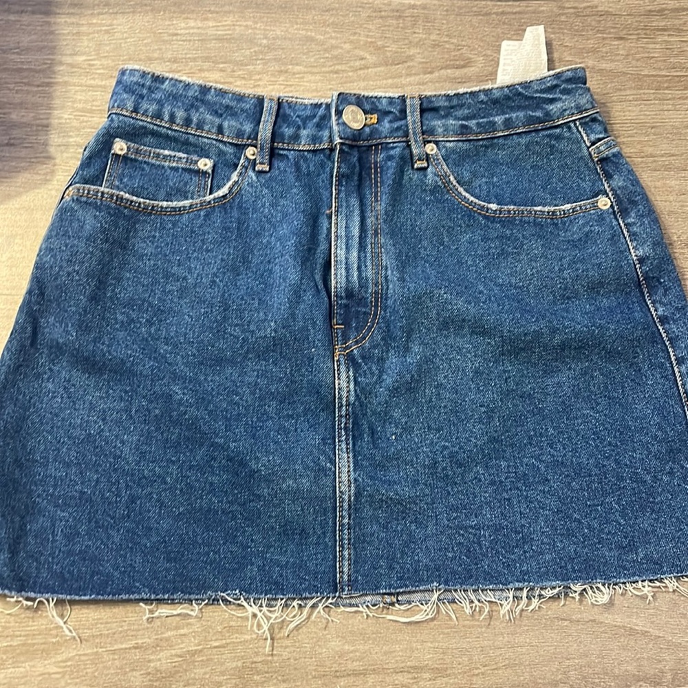 Zara Skirt